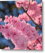 Cherry Blossom Springtime By Kaye Menner Metal Print
