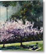 Cherry Blossoms Metal Print