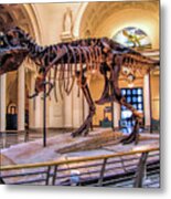Chicago Tyrannosaurus Rex Sue Metal Print