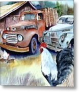 Chicken Feed Metal Print