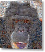 Chimp Metal Print