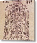 Chinese Acupuncture Chart Metal Print