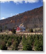 Christmas Tree Shopping Metal Print