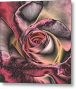 Chrome Rose 368 Metal Print