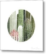 Circular Cacti Metal Print