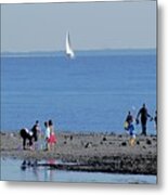 Clamming At Low Tide Metal Print