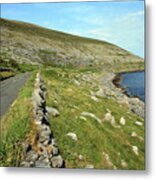 Clare Road Metal Print