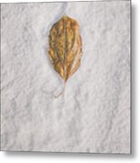 Clash Of Seasons Metal Print