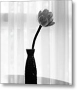Classic White Lotus Flower In Vase Metal Print