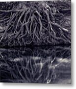 Clinging To The River Bank Metal Print
