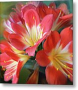 Clivia Metal Print