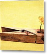 Clothespins And Dandelions Metal Print