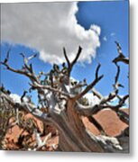 Cloud Overhead Metal Print