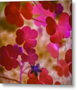 Clover - Abstract Metal Print