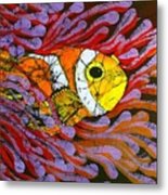 Clownfish I Metal Print