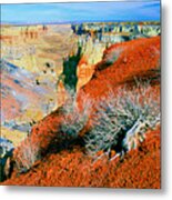 Coal Mine Canyon Metal Print