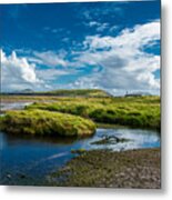 Coastal Landscape In Ireland Metal Print