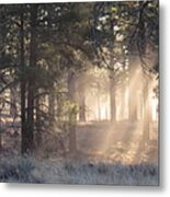 Coconino Dawn Metal Print