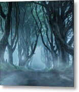 Cold Morning In Northern Ireland Metal Print