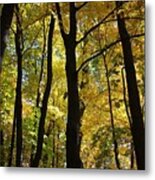 Color In Baraboo Metal Print