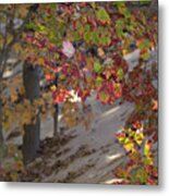 Color In The Dunes Metal Print