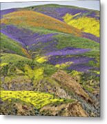 Color Mountain Ii Metal Print