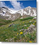 Colorado 14ers Grays Peak And Torreys Peak Metal Print