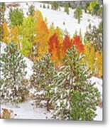 Colorado Is Stunningly Beautiful. Here's One Example Among Countless Others. Metal Print