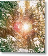 Colorado Rocky Mountain Snow And Sunshine Metal Print