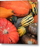 Colorful Assortment Of Pumpkins And Gourds Metal Print