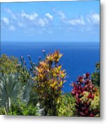 Colorful Coast Metal Print