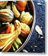 Colorful Gourds In A Basket Metal Print