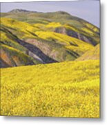 Colorful Hill And Golden Field Metal Print
