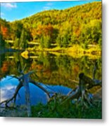 Colorful Reflections Metal Print