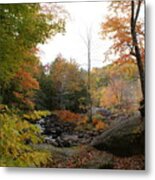 Colors Along The Stream Metal Print