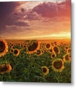 Colors Of Late Evening Metal Print