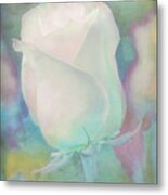 Colors Of This Rose Metal Print