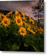 Columbia Gorge Joy Metal Print