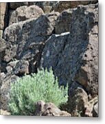 Columbia River Ridge Metal Print