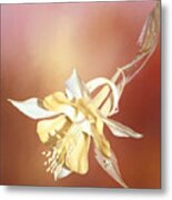 Columbine In Red Metal Print