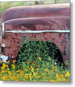 Comes With Flowers Metal Print
