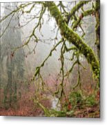 Mist In The Forest Metal Print