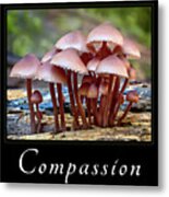 Compassion Metal Print