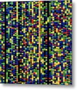 Computer Screen Showing A Human Genetic Sequence Metal Print