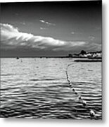 Connecticut Shore Black And White Metal Print