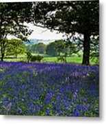 Constable Country Metal Print