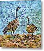 Conversation Of The Geese Metal Print