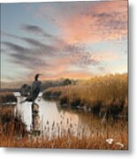 Cormorant At Sunset Metal Print