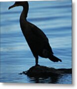 Cormorant Silhouette Metal Print