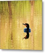 Cormorant With Reflections Metal Print